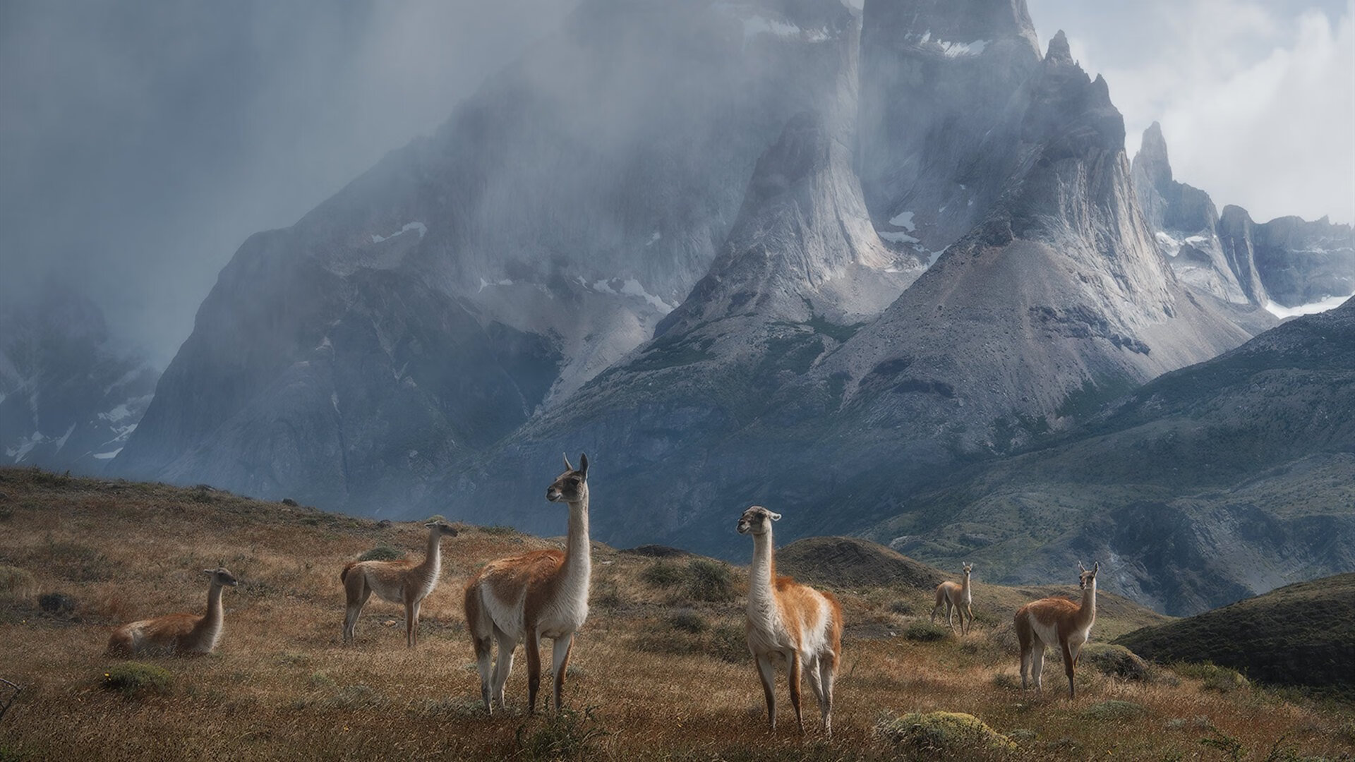 世俱杯“淘汰赛大揭秘”:黑马球队继续前行的秘密