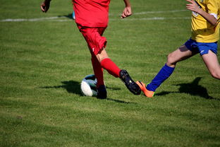 米兰体育官网下载-世界男子排球联赛意大利主场折桂，意大利男子排球联赛直播