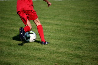 米兰体育报官网-中国篮球职业联赛俱乐部青训体系建设，全国篮球俱乐部青年联赛