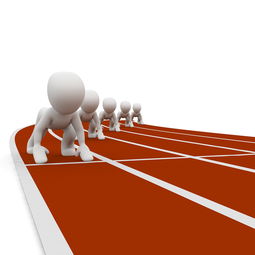 米兰体育官方下载-中小学体育教师职业成长路径研究，中小学体育教师现状