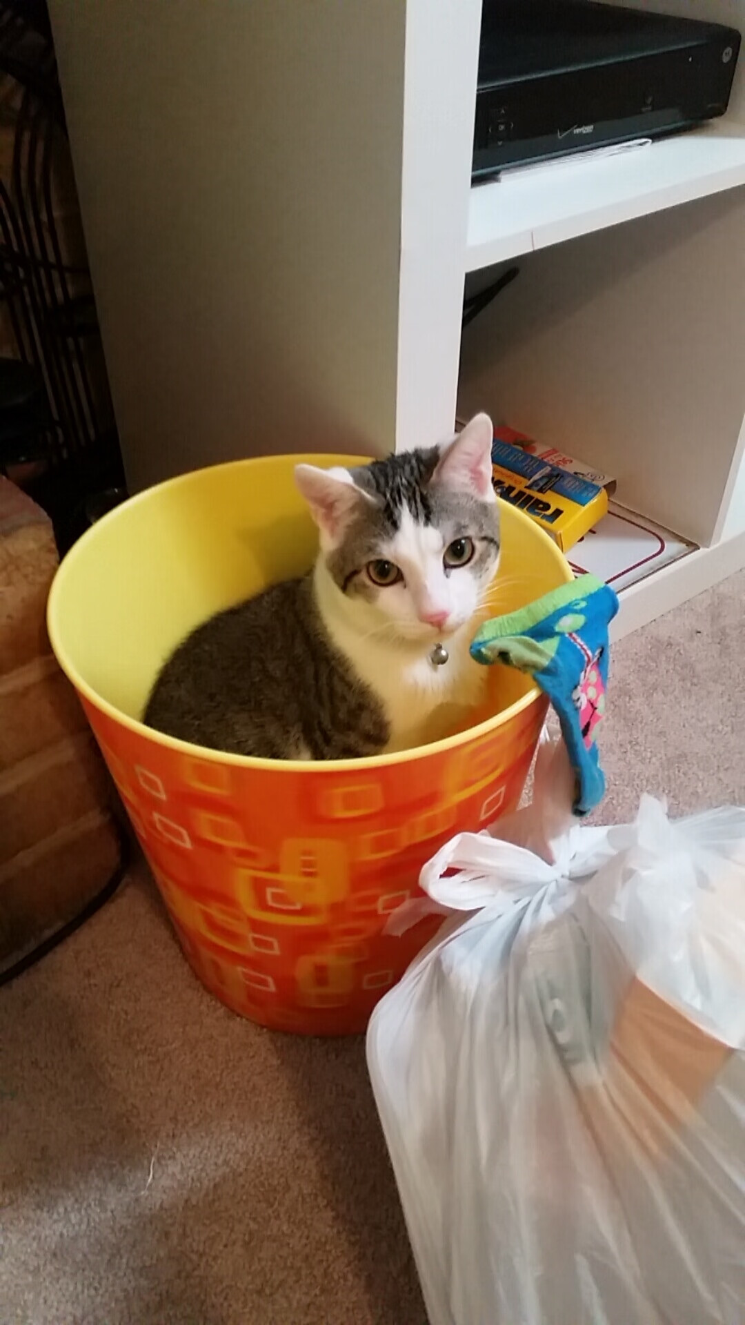 体育赛事观众互动平台,体育赛事直播平台有哪些