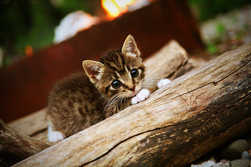 ac米兰官网-国足比赛中场分布密度统计热图，国足的中场